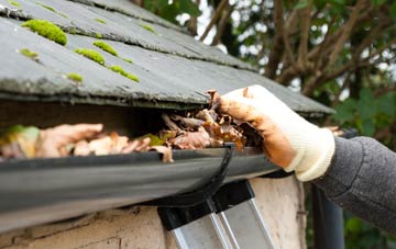 gutter cleaning Langley